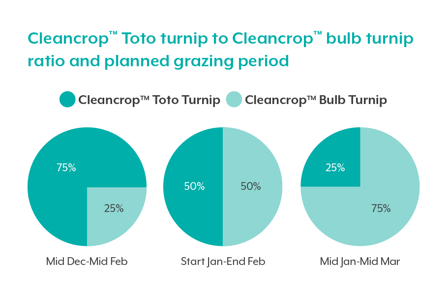 Cleancrop__Toto_turnip_to_Cleancrop__bulb_turnip_ratio_and_planned_grazing_period.png
